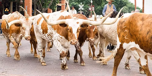 Fort Worth Stockyards Historic District - FREE Guided Walking Tour