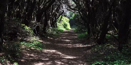 Hike: Blacklock Point