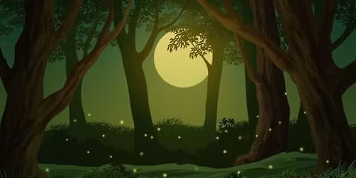 Hot August Night Trail Race