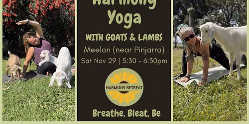 \u2728 Harmony Yoga with Goats & Lambs \u2728