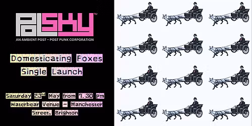 PolSky Live in Brighton \u2013 Domesticating Foxes Album Launch