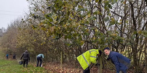 Volunteering @ Wilderness