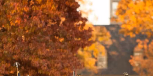 Veterans Day at Colonial Williamsburg