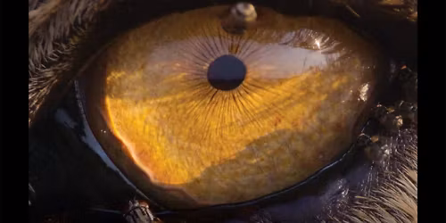 The Making of Our Planet at Plaza Theatre - Palm Springs