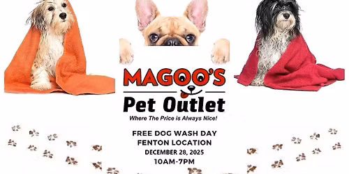 Free Self Dog Wash Day-10