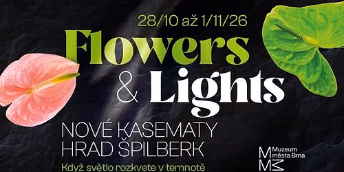 Flowers & Lights