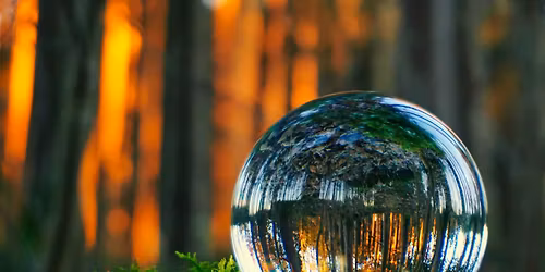 Yoga for Building Body Literacy (Poland Library)