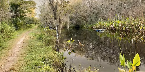 Members-Only: Morning Coffee, Roll & Stroll at the CREW Bird Rookery Swamp