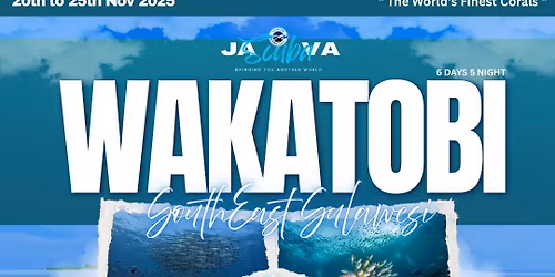 Wakatobi Dive Excursion