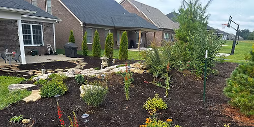 Pineal plant swap and community meet up!