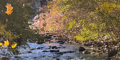 Last Stand Event of the Year! 