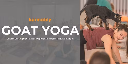 Goat Yoga Brisbane