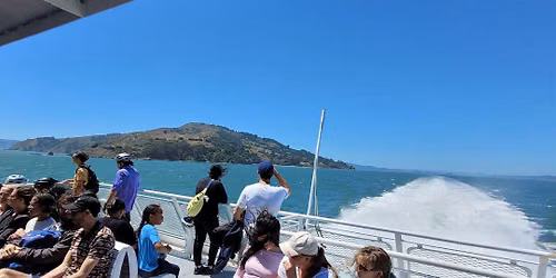 Bird Angel Island