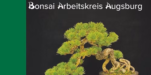 Bonsai Ausstellung Arbeitskreis Augsburg 