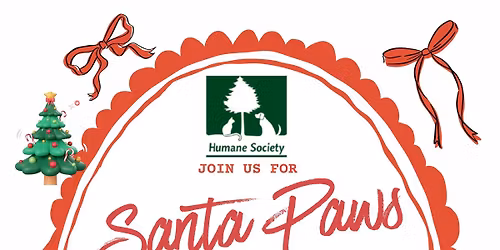 Santa Paws