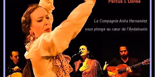 Grand Concert Flamenco Avec Danseuse