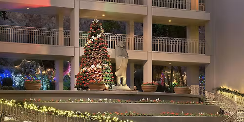 Holiday Tree Lighting Ceremony