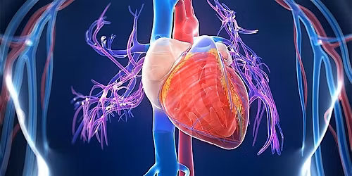 Cardiac Connection-Understanding Cardiomyopathy