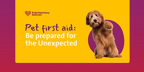 Pet First Aid: Be Prepared for the Unexpected