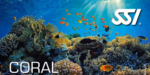 Coral Identification Explorer