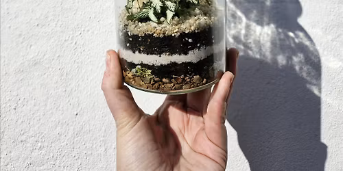 Small Closed Terrarium Workshop