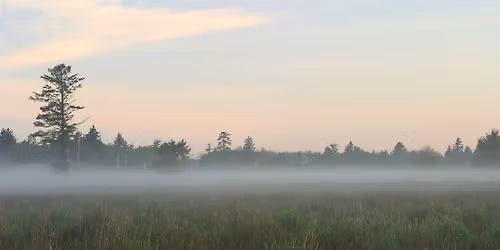 Practice Qigong at Circle Creek