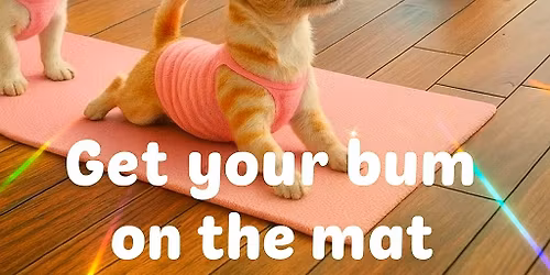 Stretch & Snuggle with Pooch Therapy \ud83d\udc15