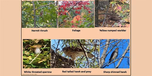 Van Cortlandt Nature Group Walk