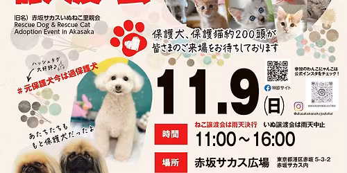 25\/11\/9 \u8d64\u5742\u3044\u306c\u306d\u3053\u8b72\u6e21\u4f1a@\u8d64\u5742\u30b5\u30ab\u30b9