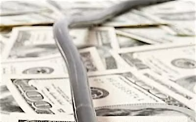 Ask the Expert: Emergency Fund Boot Camp