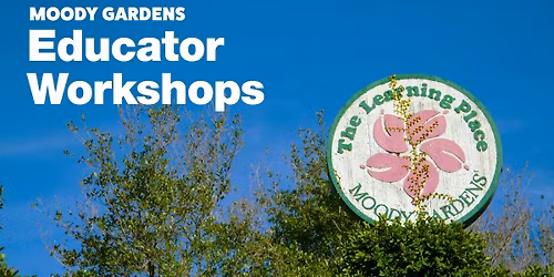 Educator Workshops - Flying Wild