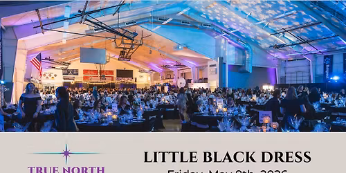 Little Black Dress 2026