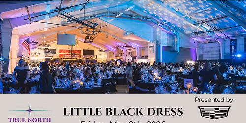 Little Black Dress 2026