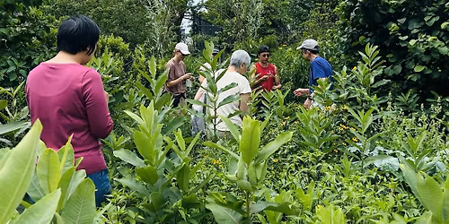 Talk on Invasive Species + Sculptural Seed Pod Making