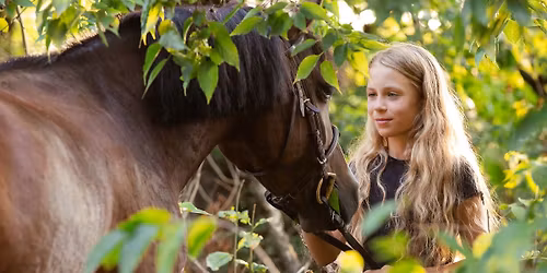 LOVAS FOT\u00d3Z\u00c1S: Equina Lovasfarm \u00d3csa- Artbalance