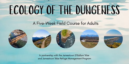 Ecology of the Dungeness 5-Week Course
