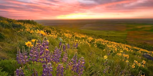 Valley of Flowers Trek July