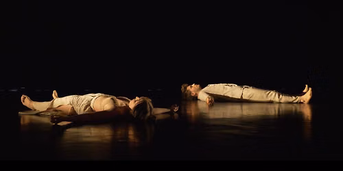 Pulpit - Festival OFF Avignon 2026 - Danse