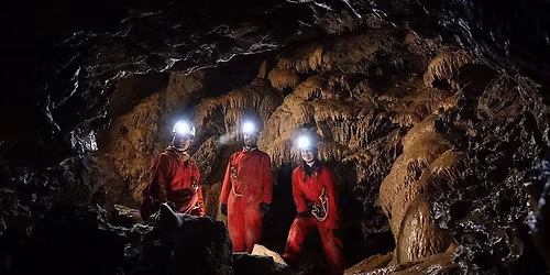 A Busy Beavers Underground Adventure