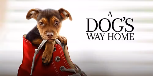 November 2025 Book and A Movie - A Dog's Way Home (PG)
