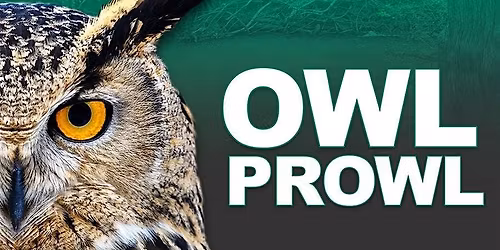 Special Evening Event: Owl Prowl  at Eastern Neck NWR 2025-26
