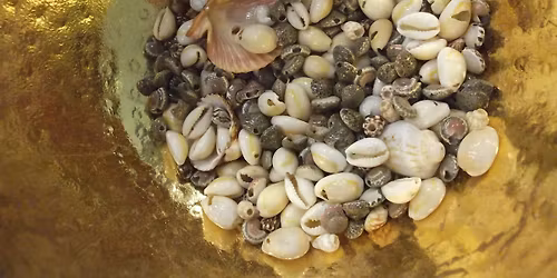 Sound Bath with Sara Teal