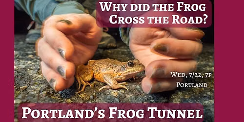 How Did the Frog Cross the Road? Portland\u2019s Frog Tunnel