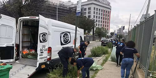 Street Tree Care  w\/ Sunnyside Gardens
