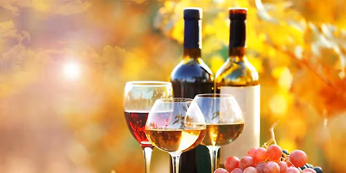 Vines of the Season - A Holiday Wine Night