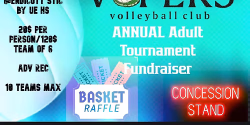 Vipers Annual Co-Ed Adult vb tournament Fundraiser 