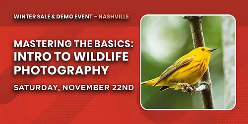 Mastering the Basics: Intro to Wildlife Photography | Nashville, TN