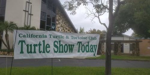 2026 Turtle Show