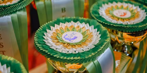LFA \u201cFELIMURS\u201d  WCF WORLD SHOW 2026