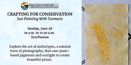 Crafting for Conservation: Sun Painting with Turmeric
